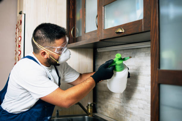 Flea Control Services in Reamstown, PA