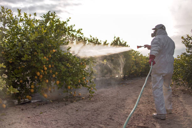 Best Exterminator Services  in Reamstown, PA