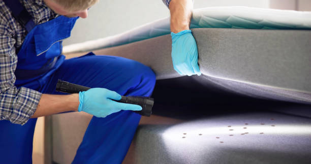 Best Wasp Removal Services  in Reamstown, PA